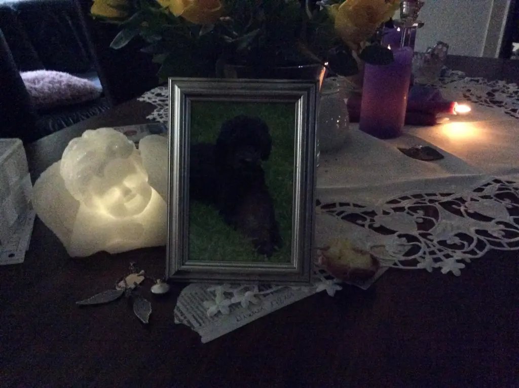 Condolence image of Heidi
