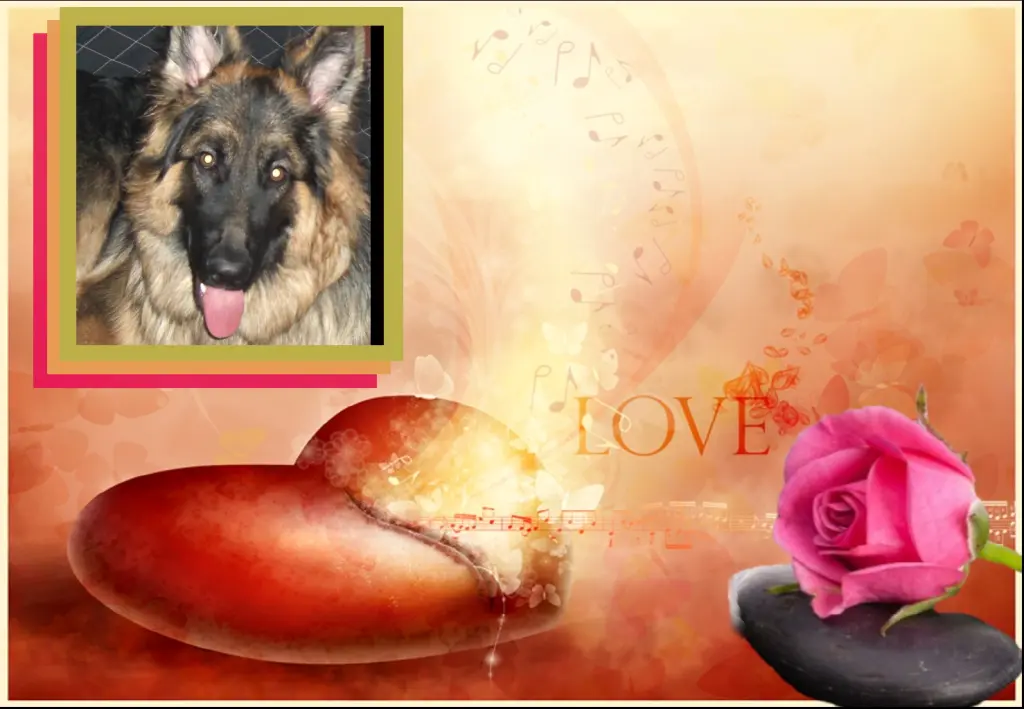 Condolence image of ❤❤❤Mój Misiulek❤❤❤
