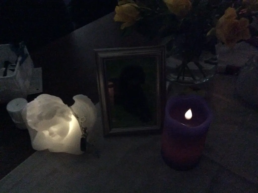 Condolence image of Heidi 