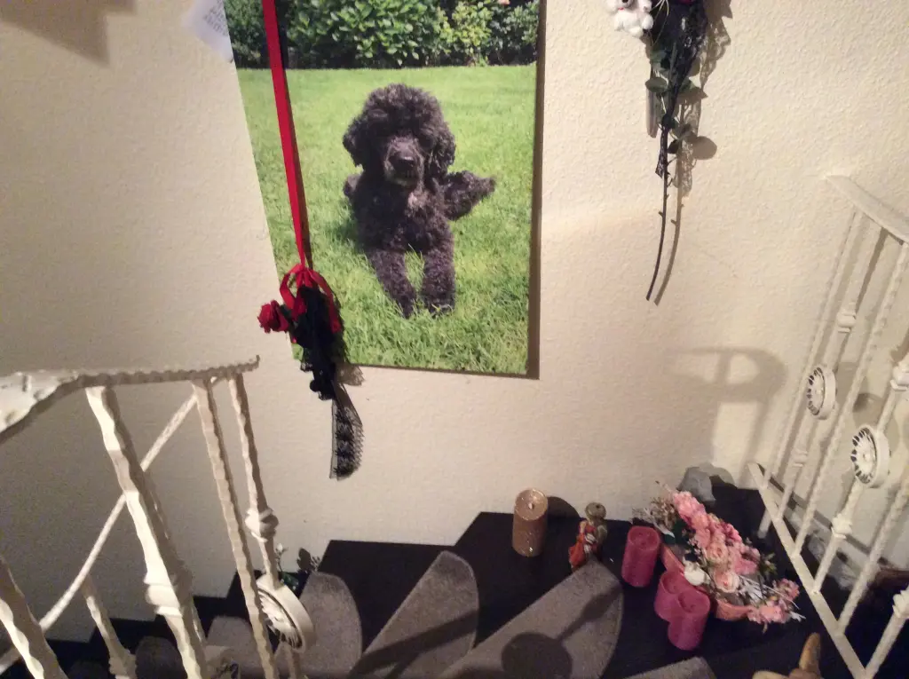 Condolence image of Heidi 