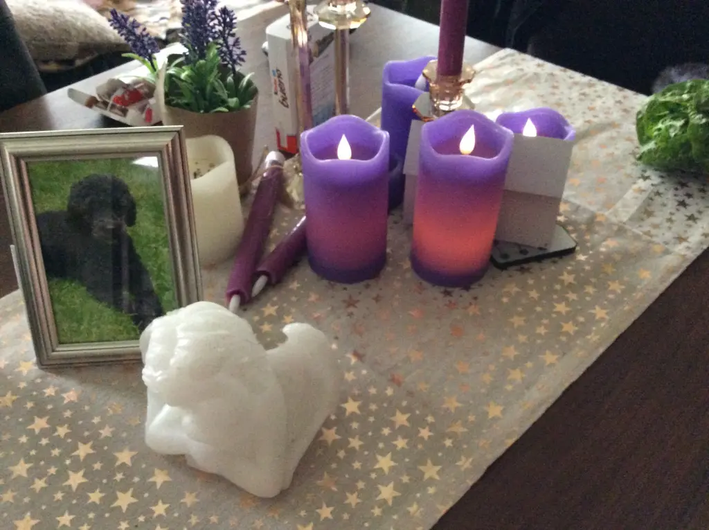 Condolence image of Heidi 