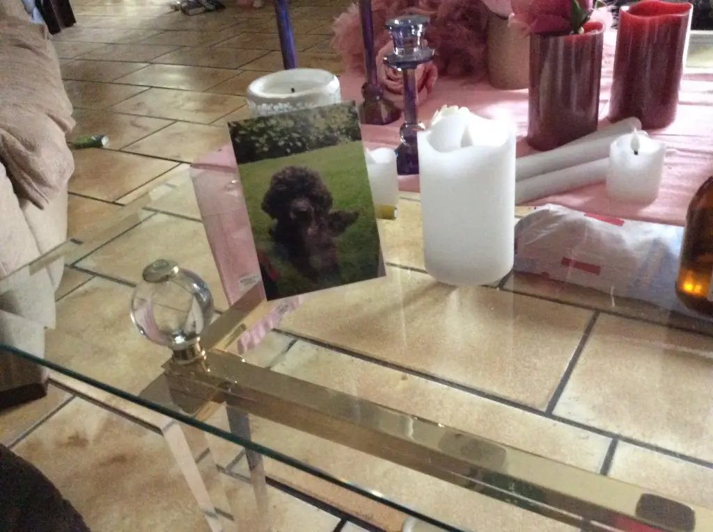 Condolence image of Heidi 