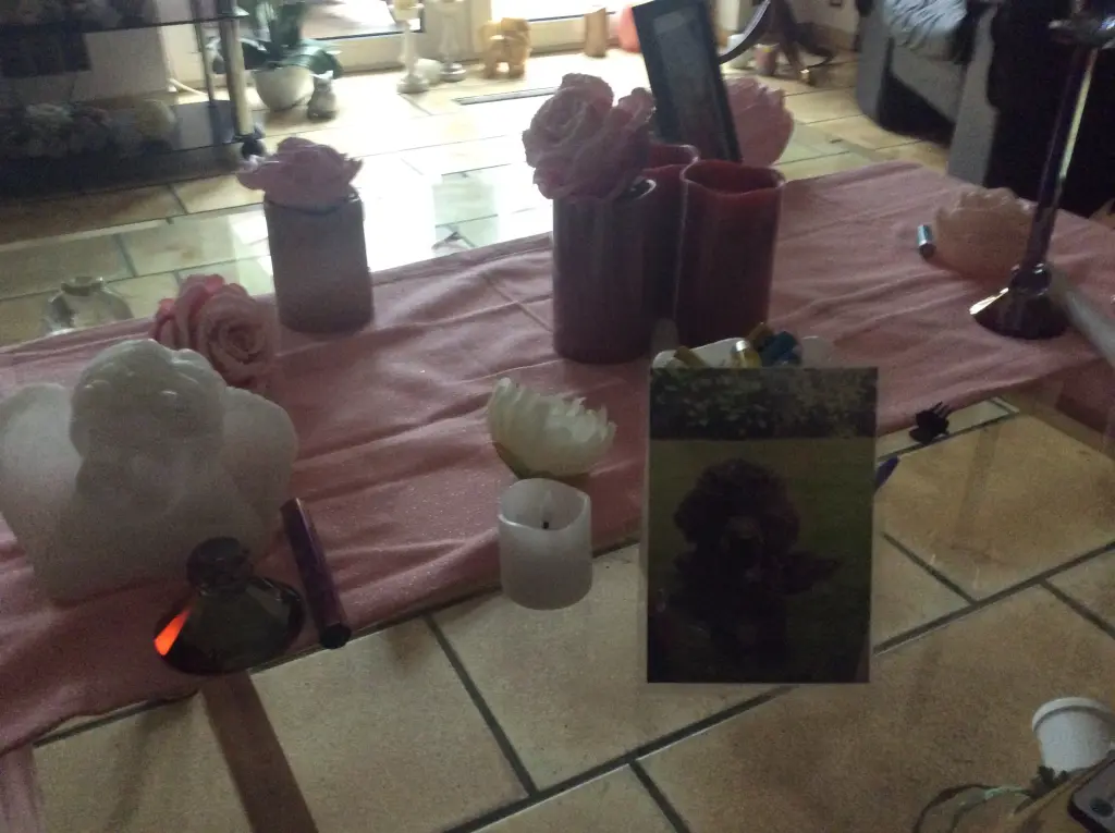 Condolence image of Heidi 