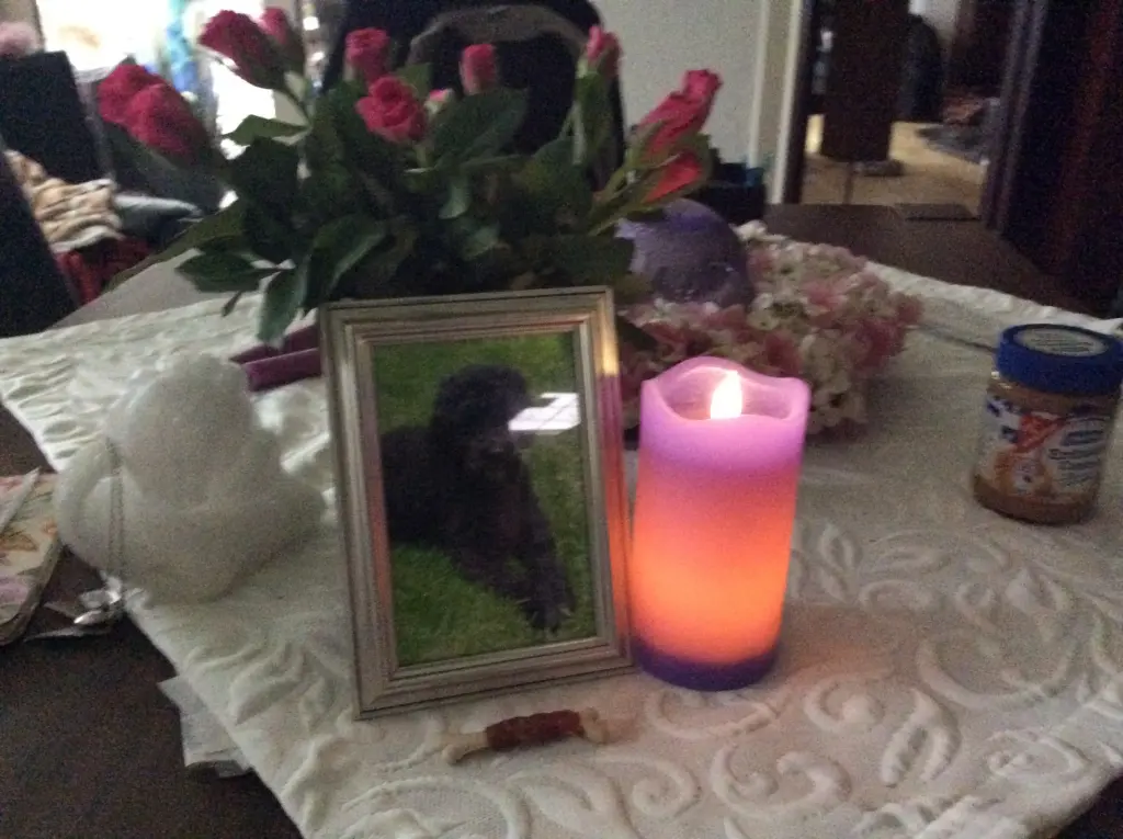 Condolence image of Heidi 