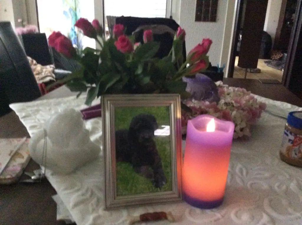 Condolence image of Heidi 