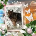 Condolence image of Kocham Cię❤️❤️❤️Misieńku❤️❤️❤️