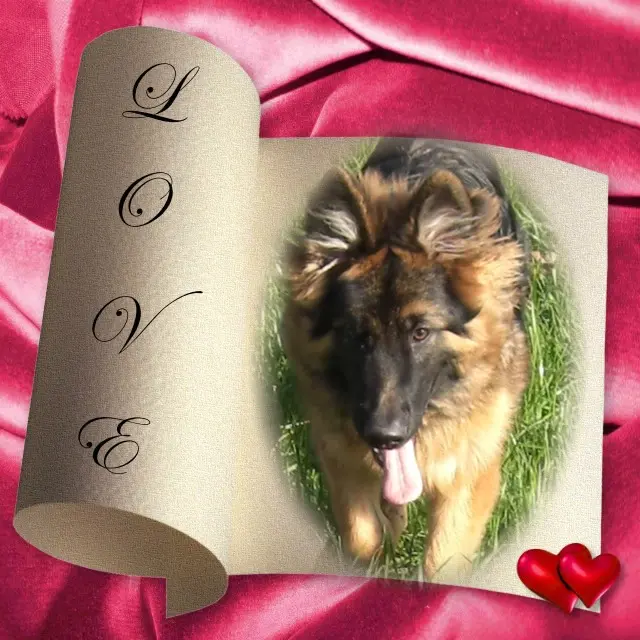 Condolence image of Kocham Cię❤❤❤