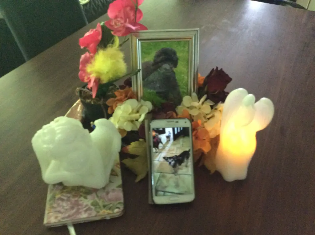 Condolence image of Heidi 