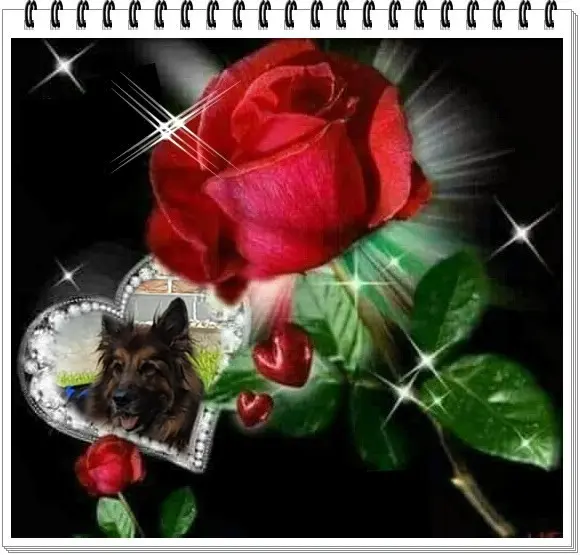 Condolence image of Dobrej Nocki Ukochany Misieńku❤️❤️❤️