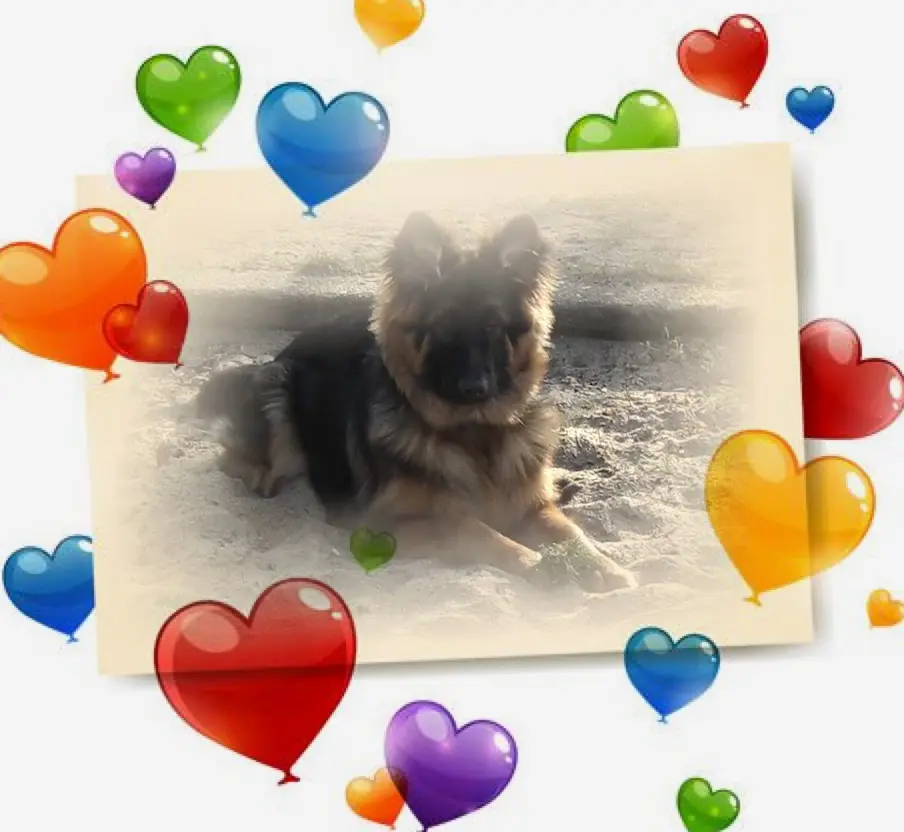 Condolence image of Dzień Dobry Misieńku❤️❤️❤️