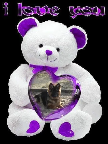 Condolence image of Dobrej Nocki Ukochany Misieńku❤️❤️❤️