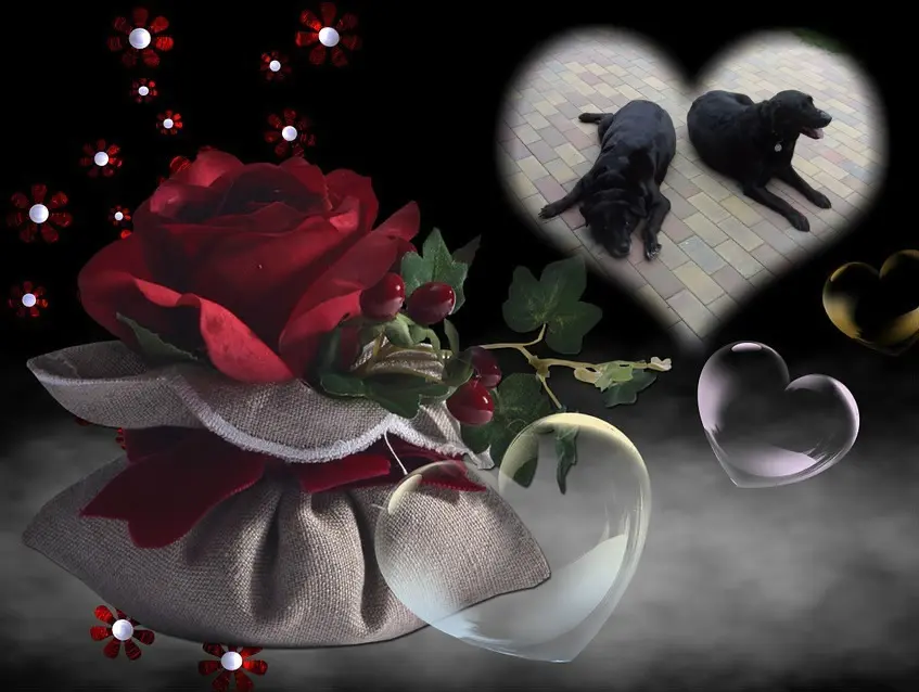 Condolence image of ❤️❤️❤️