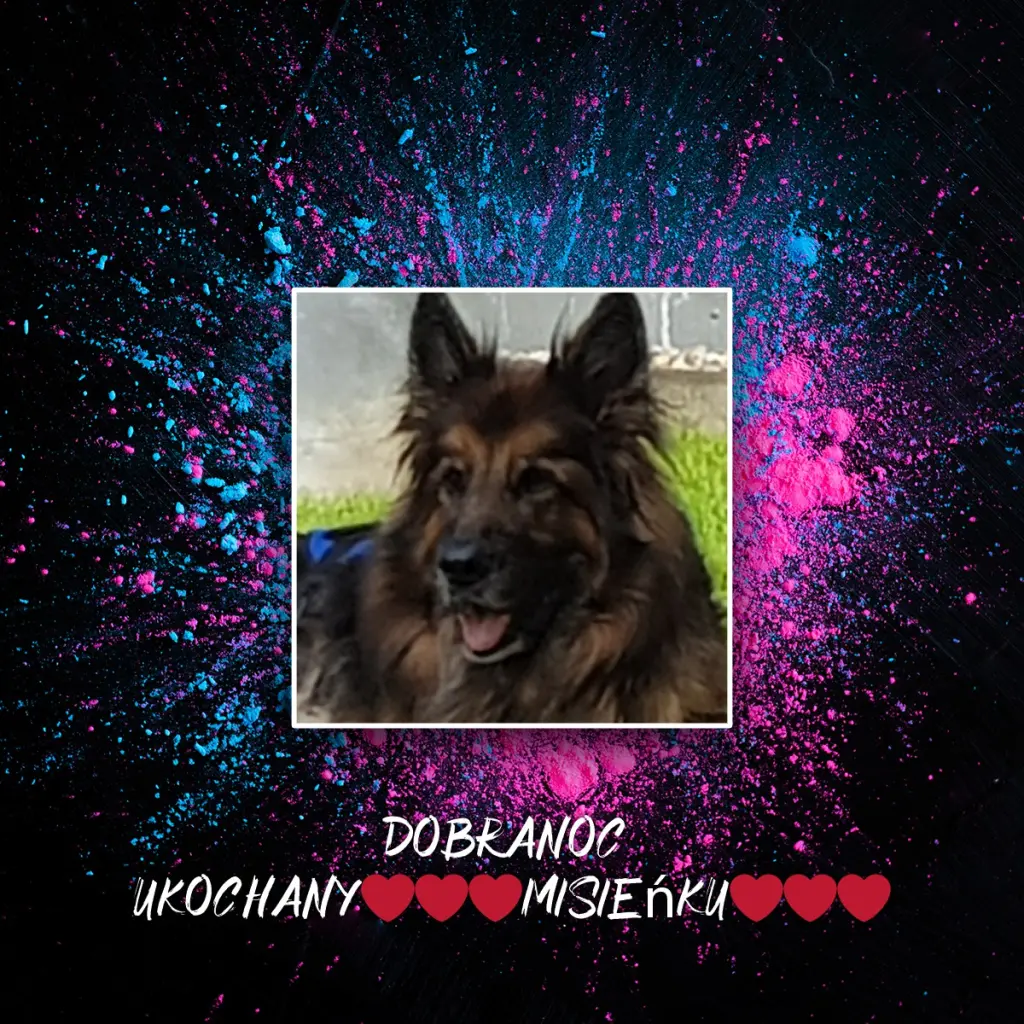 Condolence image of Dobrej Nocki Ukochany Misieńku❤️❤️❤️
