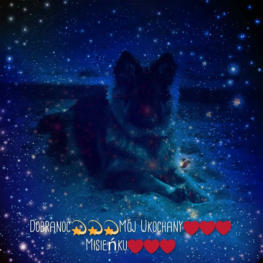Condolence image of Dobrej Nocki Ukochany Misieńku❤️❤️❤️