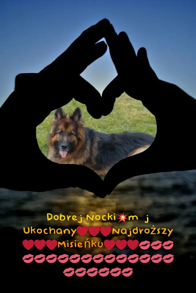 Condolence image of Dobrej Nocki Ukochany Misieńku❤️❤️❤️