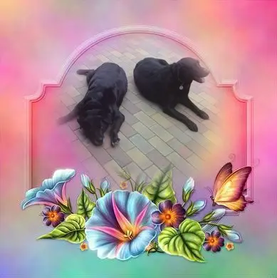 Condolence image of ❤️❤️❤️