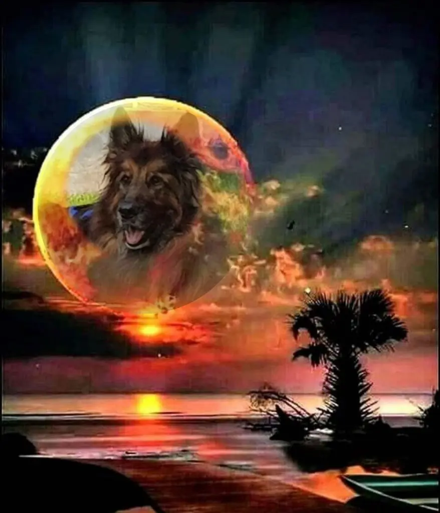 Condolence image of Dobrej Nocki Ukochany Misieńku❤️❤️❤️