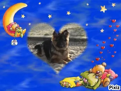 Condolence image of Dobrej Nocki Ukochany Misieńku❤️❤️❤️