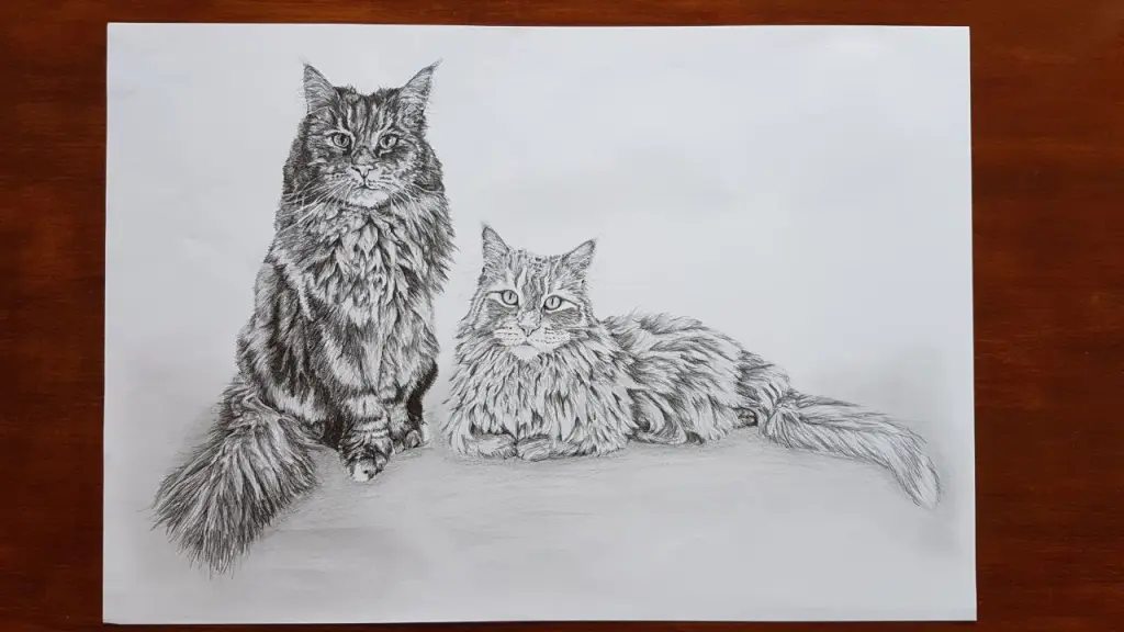 Condolence image of Ein lieber Gruß von Brigitta und♥Sam♥