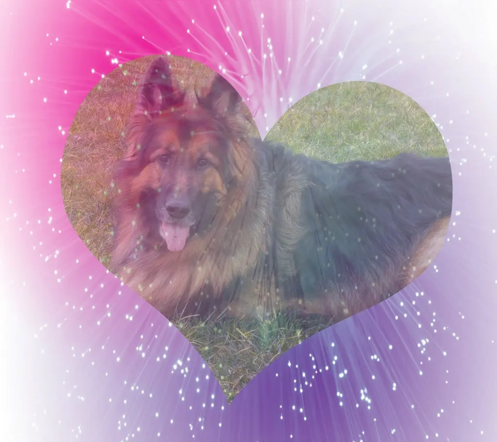 Condolence image of Dobrej Nocki Ukochany Misieńku❤️❤️❤️
