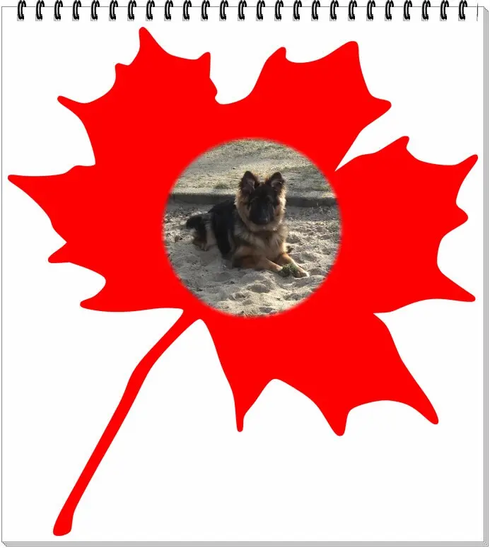 Condolence image of Dzień Dobry Misieńku❤️❤️❤️