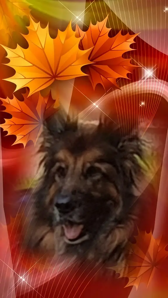 Condolence image of Dzień Dobry Misieńku❤️❤️❤️