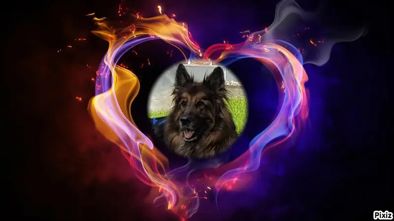 Condolence image of Dobrej Nocki Ukochany Misieńku❤️❤️❤️