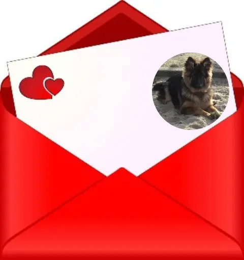 Condolence image of Dzień Dobry Misieńku❤️❤️❤️
