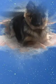 Condolence image of Dzień Dobry Misieńku❤️❤️❤️