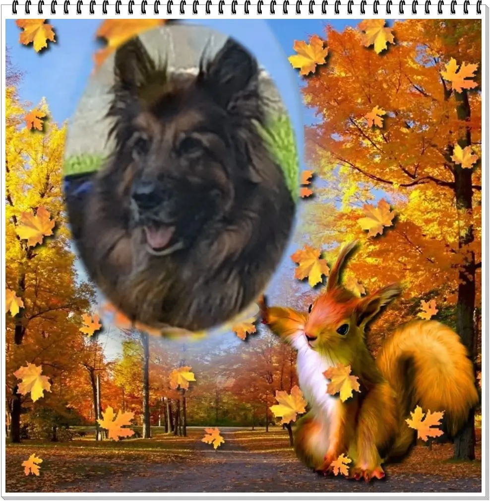 Condolence image of Dzień Dobry Misieńku❤️❤️❤️
