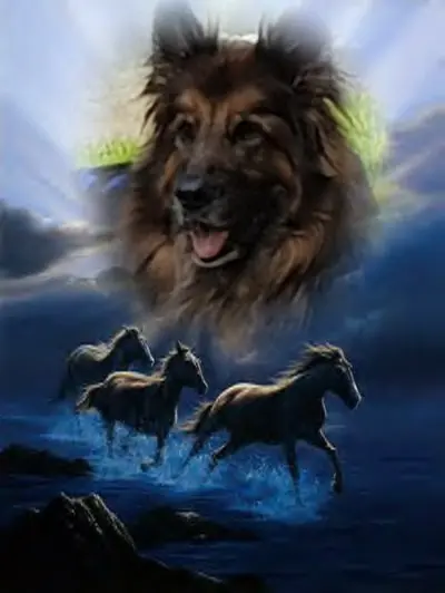 Condolence image of Dobrej Nocki Ukochany Misieńku❤️❤️❤️