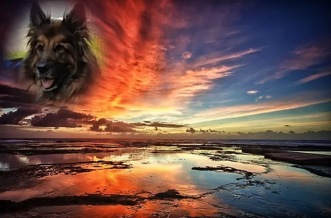 Condolence image of Dobrej Nocki Ukochany Misieńku❤️❤️❤️
