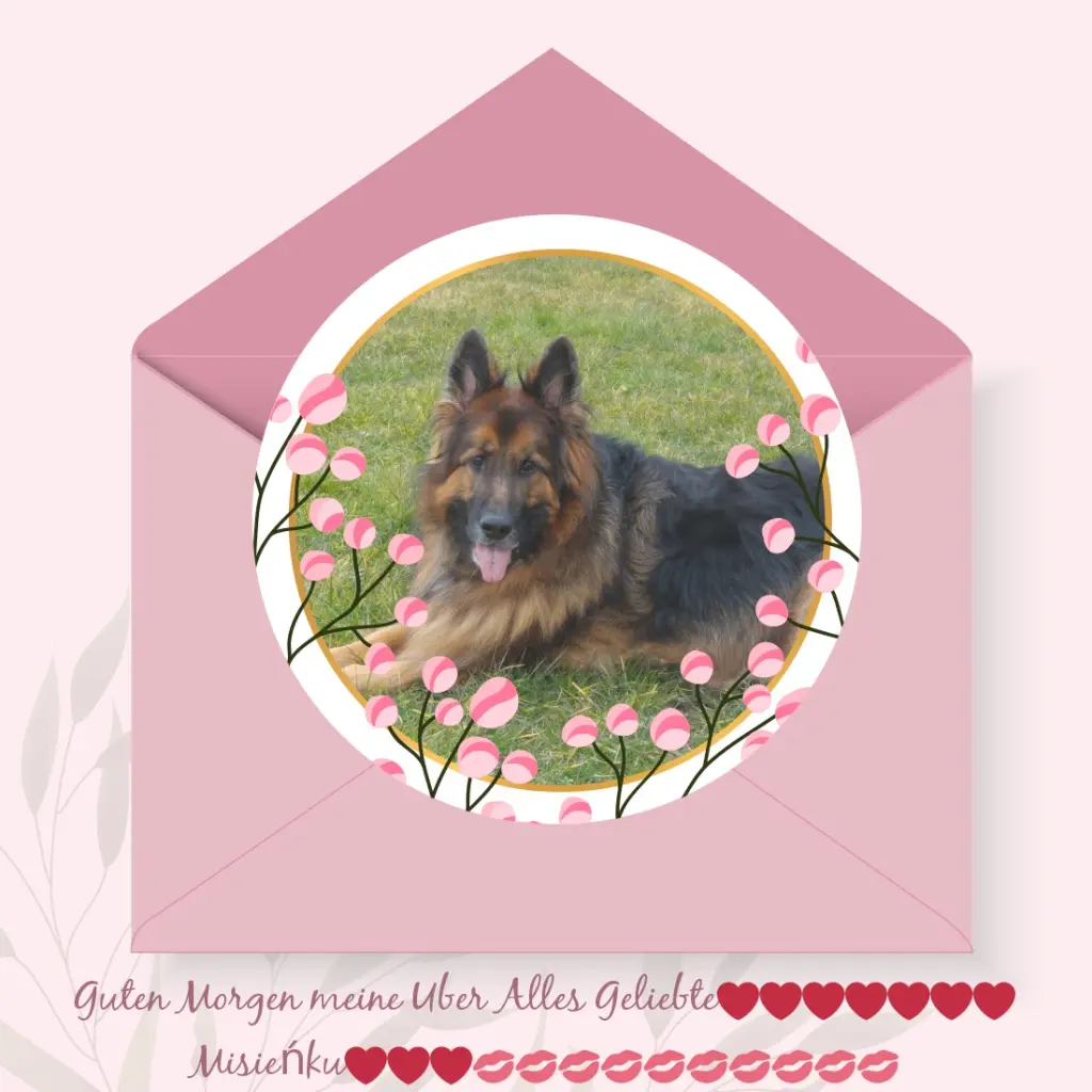 Condolence image of Dzień Dobry Misieńku❤️❤️❤️