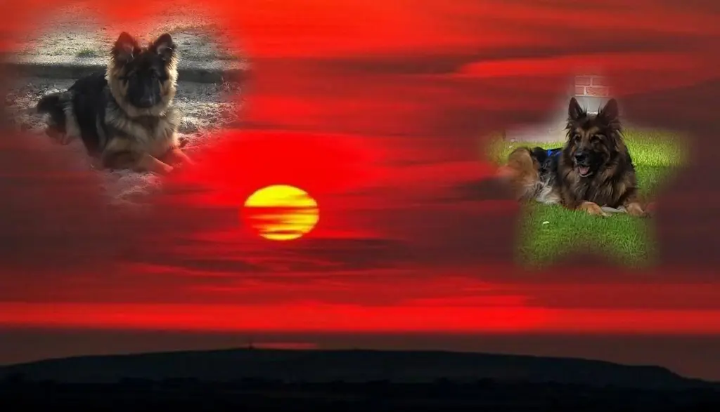 Condolence image of Dobrej Nocki Ukochany Misieńku❤️❤️❤️