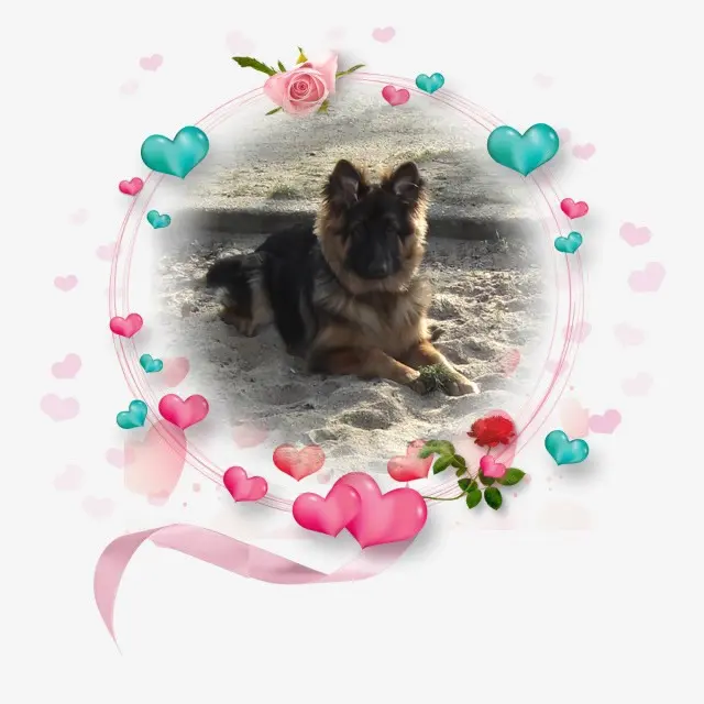 Condolence image of Dzień Dobry Misieńku❤️❤️❤️