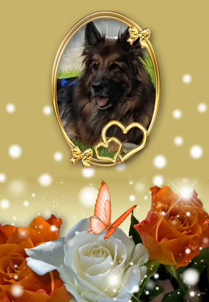 Condolence image of Dzień Dobry Misieńku❤️❤️❤️