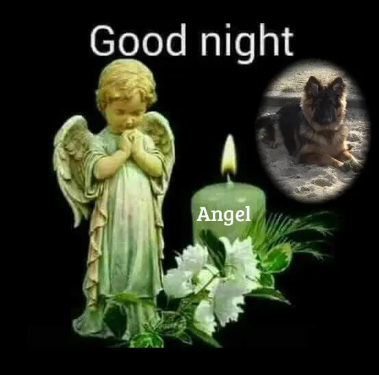Condolence image of Dobrej Nocki Ukochany Misieńku❤️❤️❤️