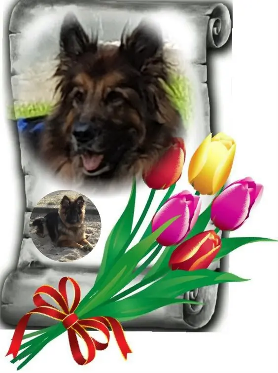 Condolence image of Dzień Dobry Misieńku❤️❤️❤️
