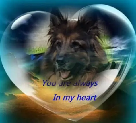 Condolence image of Dobrej Nocki Ukochany Misieńku❤️❤️❤️