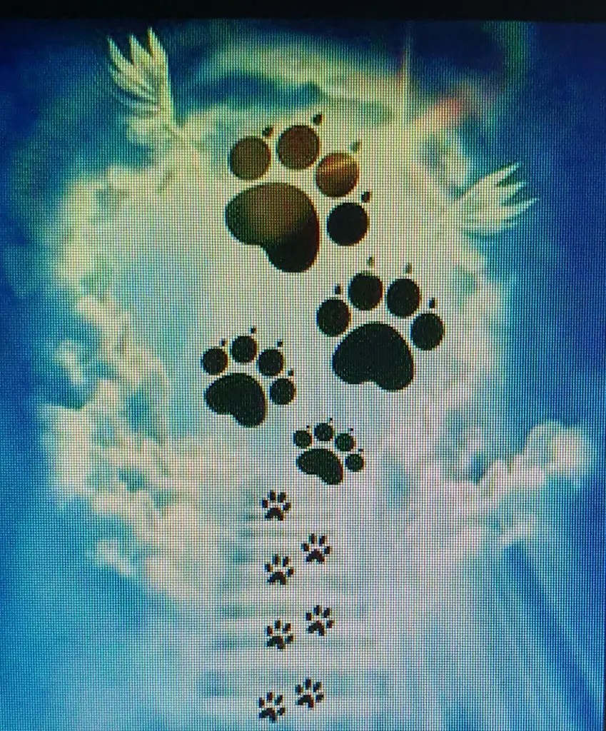 Condolence image of Ein lieber Gruß von Brigitta und♥Sam♥