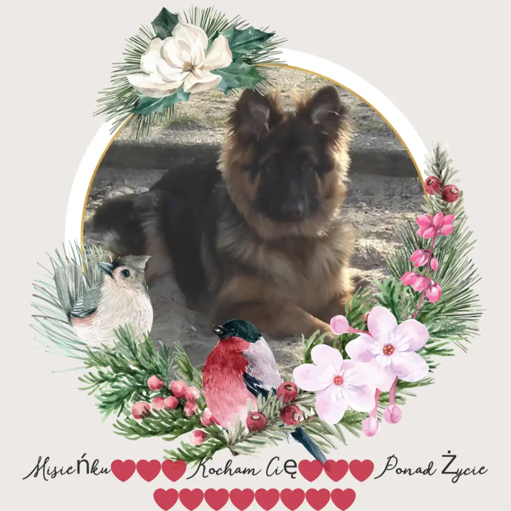 Condolence image of Dzień Dobry Misieńku❤️❤️❤️
