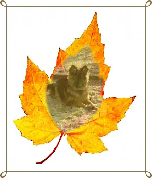 Condolence image of Dzień Dobry Misieńku❤️❤️❤️