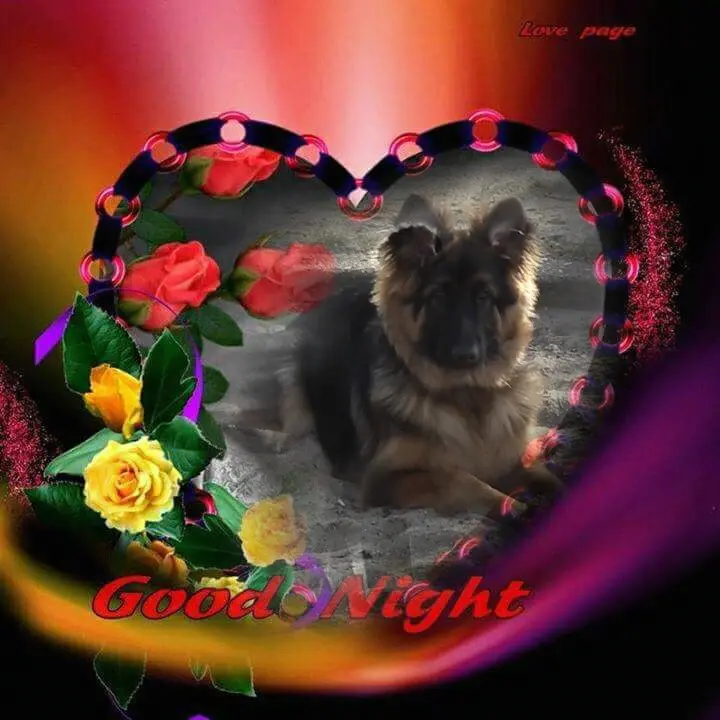Condolence image of Dobrej Nocki Ukochany Misieńku❤️❤️❤️