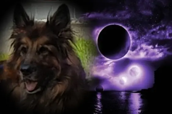 Condolence image of Dobrej Nocki Ukochany Misieńku❤️❤️❤️