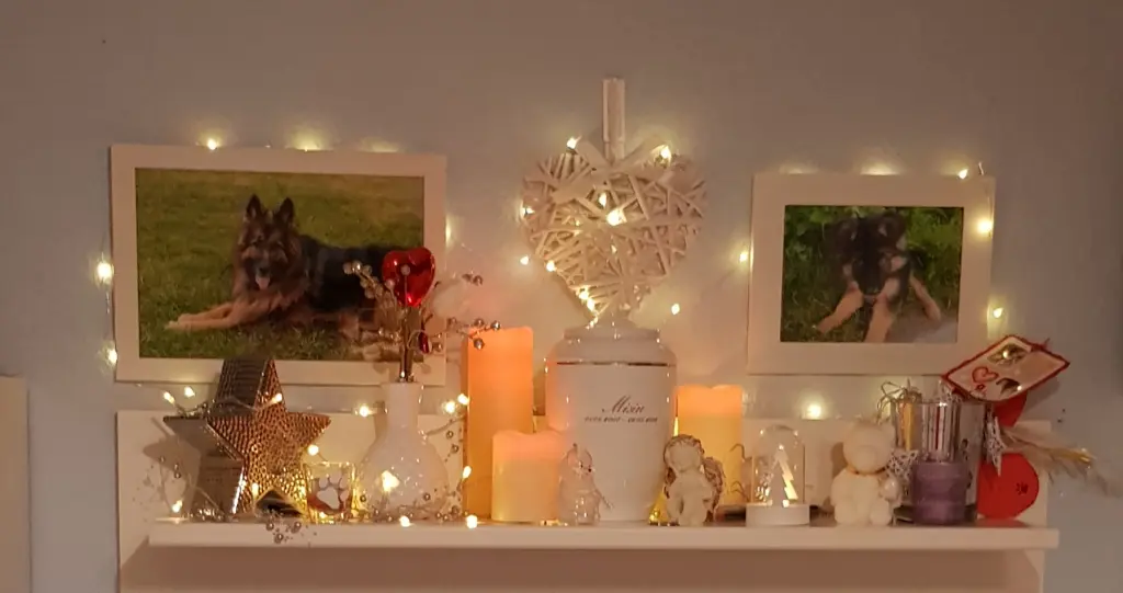 Condolence image of Dobrej Nocki Ukochany Misieńku❤️❤️❤️ 