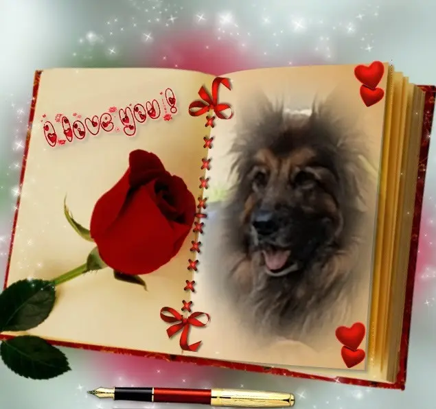 Condolence image of ❤️❤️❤️❤️❤️❤️❤️❤️❤️❤️❤️❤️❤️