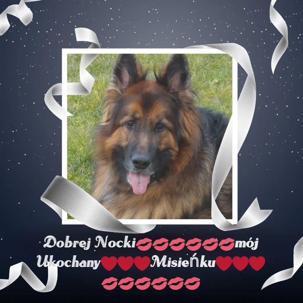 Condolence image of Dobrej Nocki Ukochany Misieńku❤️❤️❤️