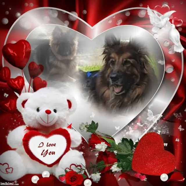 Condolence image of Dzień Dobry Misieńku❤️❤️❤️