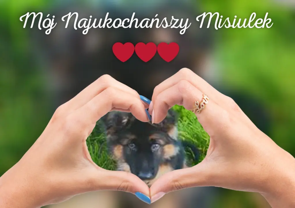 Condolence image of Dzień Dobry Misieńku❤️❤️❤️
