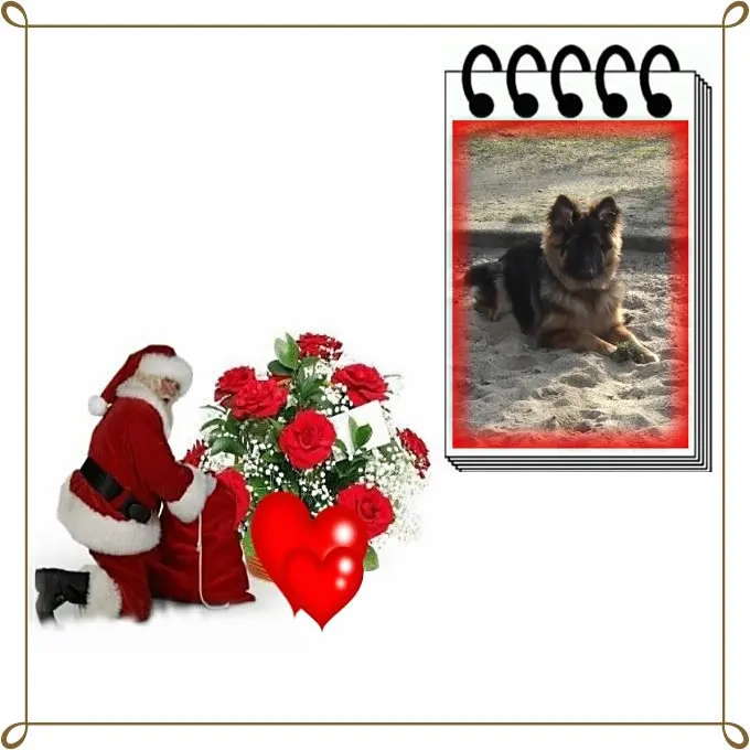 Condolence image of Dzień Dobry Misieńku❤️❤️❤️